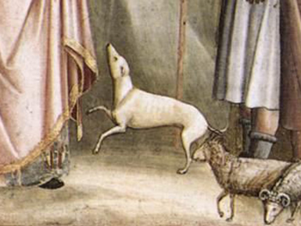 Giotto di Bondone ( - 1337), Giacchino tra i Pastori, Dalle Scene dalla vita di Gioacchino, 1303-1305, Affresco, 200 x 185 cm, padova, cappella degli Scrovegni