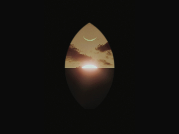The Quantum Effect, Jacqui Davies, Cinematic Blossoming IV Dark Matter, 2025