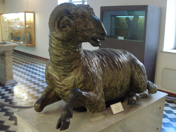 Ariete di Siracusa, prima metà del III sec. a.C. Bronzo, cm 79x138. Provenienza: Siracusa, Castello Maniace Palermo, Museo Archeologico Regionale A. Salinas