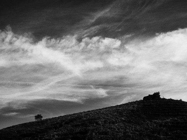 © Lorenzo Cicconi Massi / Le Colture