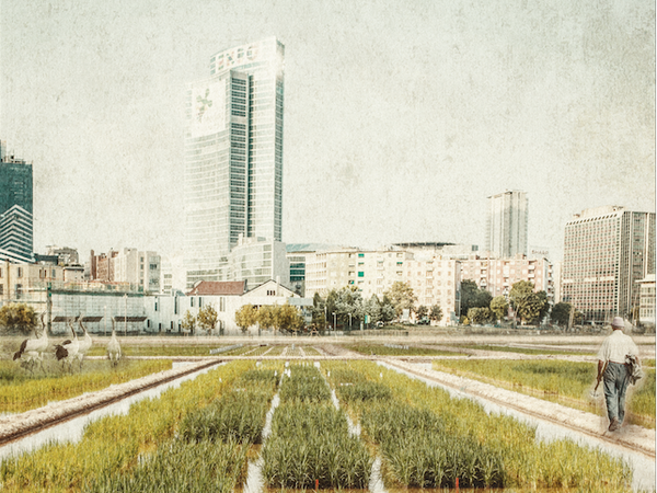 Fantoni, Balsarini, Battistini, Li, Kafili, Flows | © Milano Animal City 2016