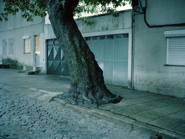Andrè Cepeda. Fade