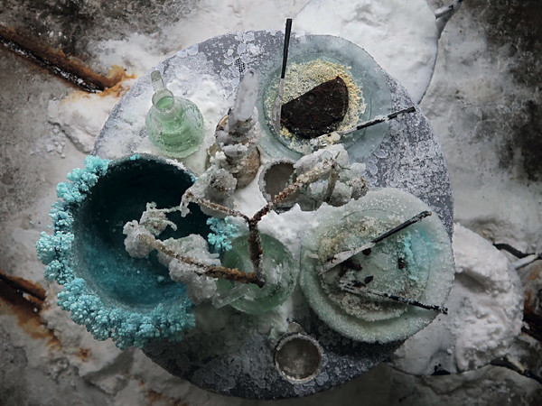 Bianca Bondi, What grows after us, 2025 Bianca Bondi, What grows after us, 2025