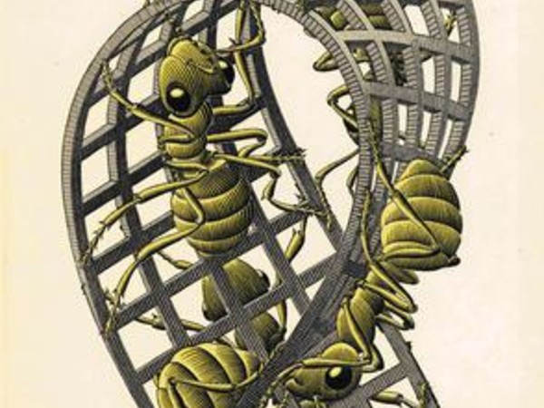 Maurits Cornelis Escher. Escher, Chiostro del Bramante, Roma