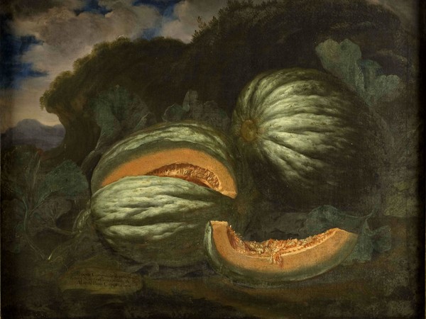Bartolomeo Bimbi, Popone 