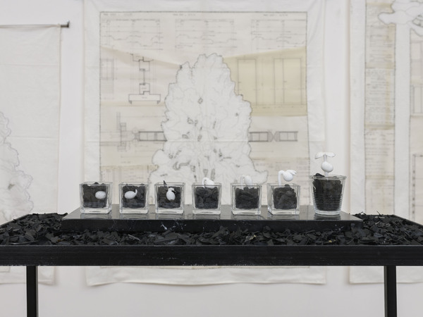 Silvia Scaringella, Deus sive natura I Ph. Giorgio Benni Silvia Scaringella, Deus sive natura I Ph. Giorgio Benni