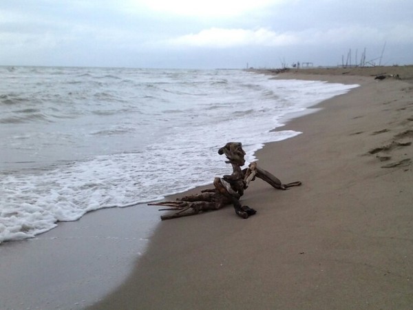 Il Sedicente Moradi, IL NAUFRAGO, assemblaggio di legno. Spiaggia della lecciona (LU) - 13 agosto 2014